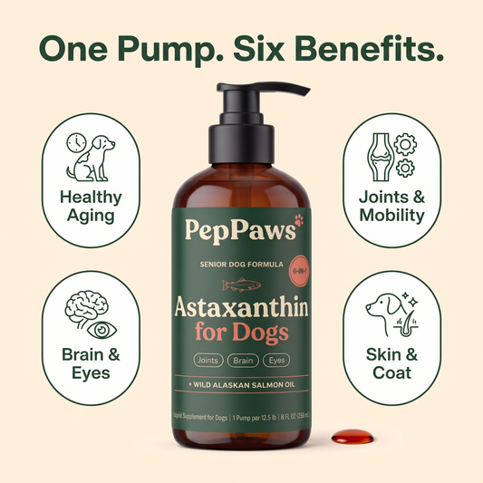 PepPaws Astaxanthin for Dogs: one pump, six benefits for healthy aging, joints, brain, eyes, skin and coat